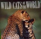 world cats book